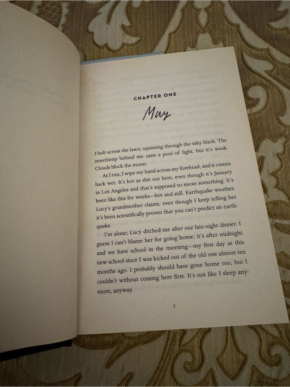 The Lucky Ones by Liz Lawson - Lavender HardCover - Picture 3 of 3